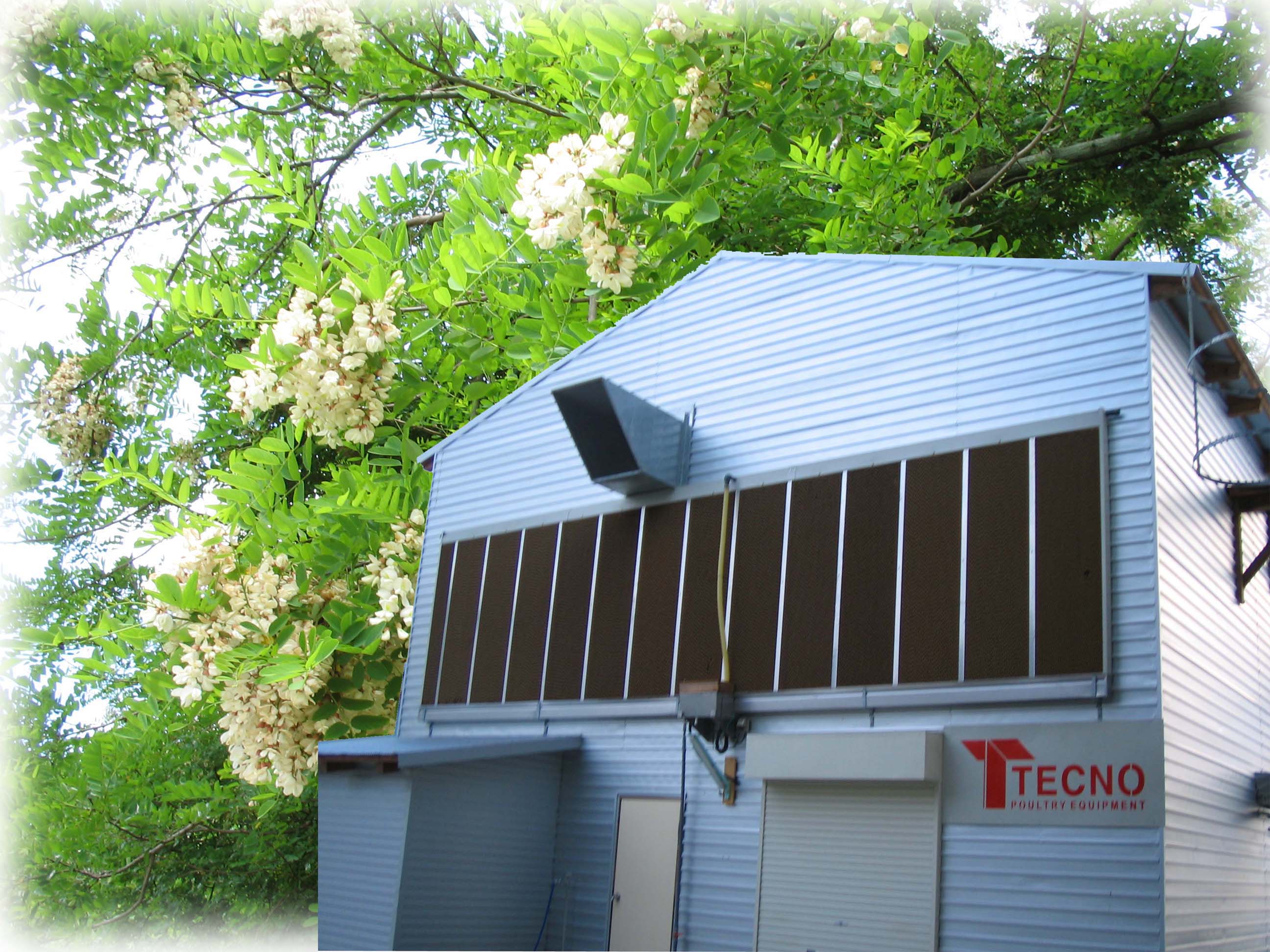 最新システムの鶏舎